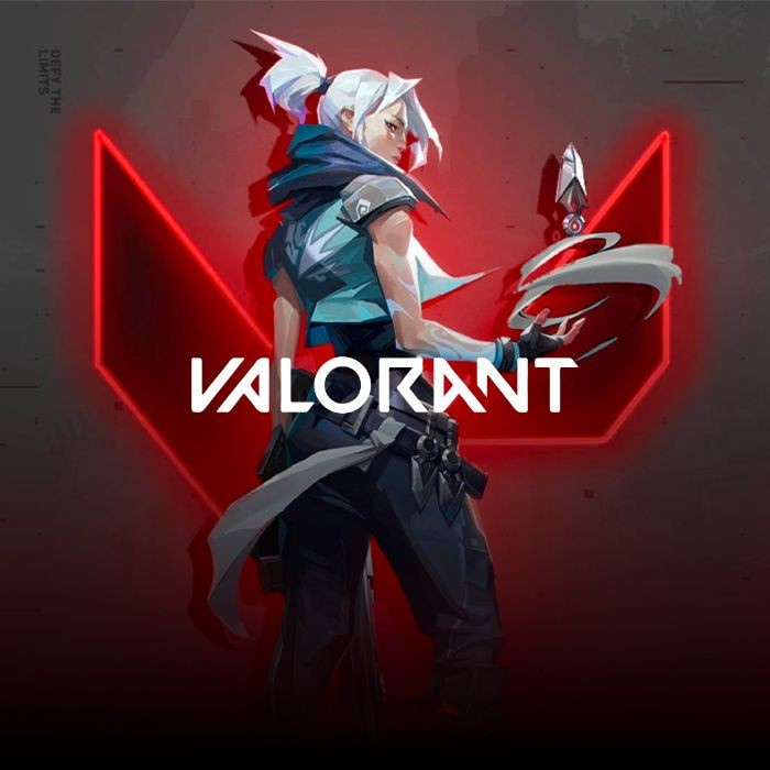 Valorant 11000 VP